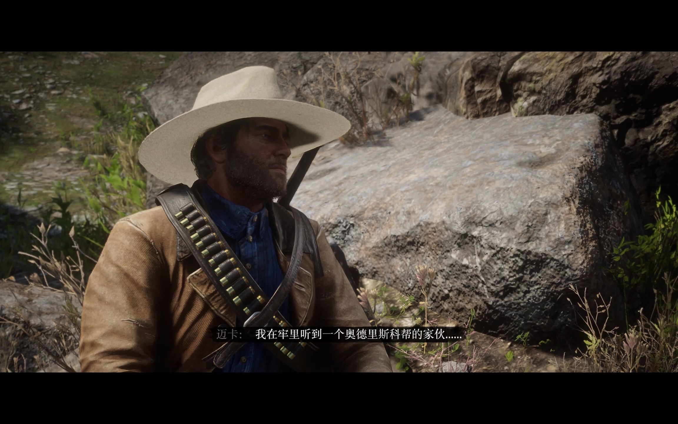 荒野大镖客2主线任务第二章马掌望台美国田园风光