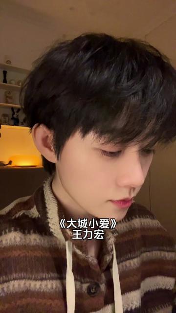 大城小爱#王力宏#翻唱