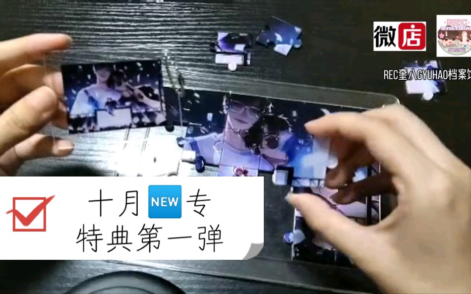 【十月new专】档案馆特典第一弹!亚克力拼图相框哔哩哔哩bilibili