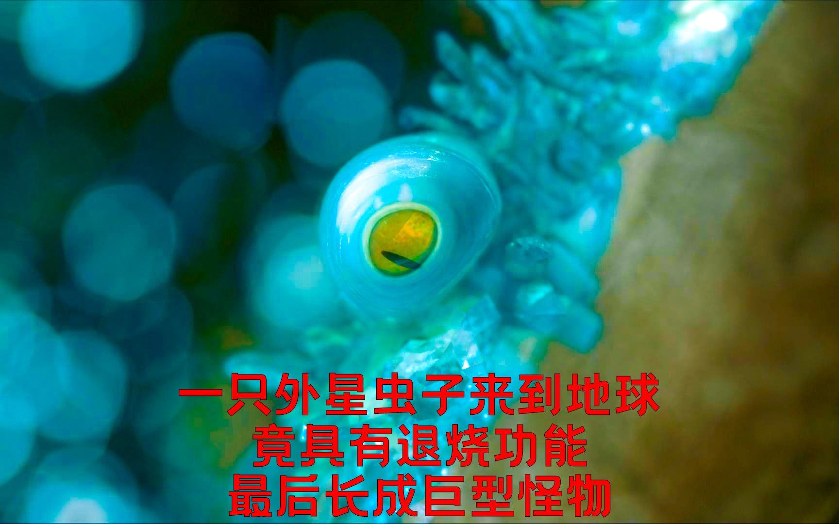 [图]《虫虫欲动》外星虫子袭击小镇 长得可爱还能治病 但最后却变异