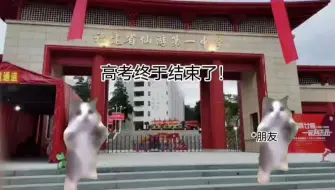 Download Video: [猫meme] 什么？居然被档案学录取了？