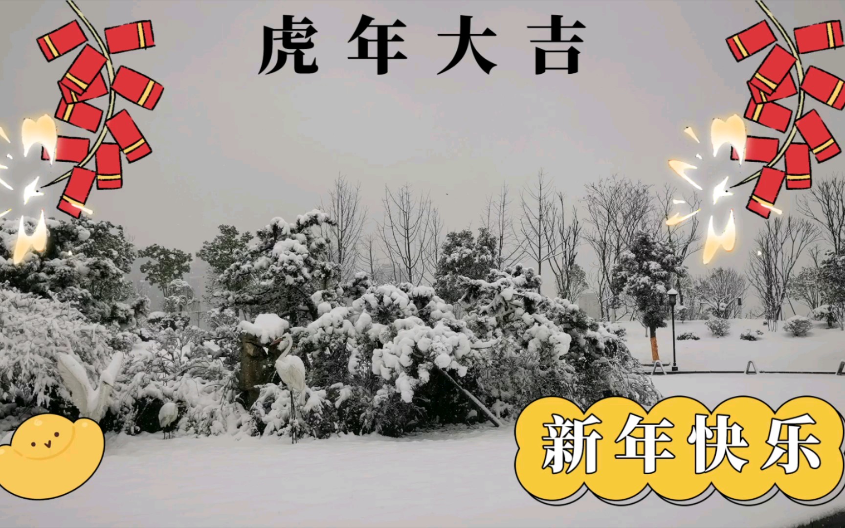 瑞雪迎虎年图片