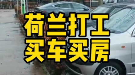 荷兰打工 夫妻打工 月入2.5万 买房买车 低首付哔哩哔哩bilibili