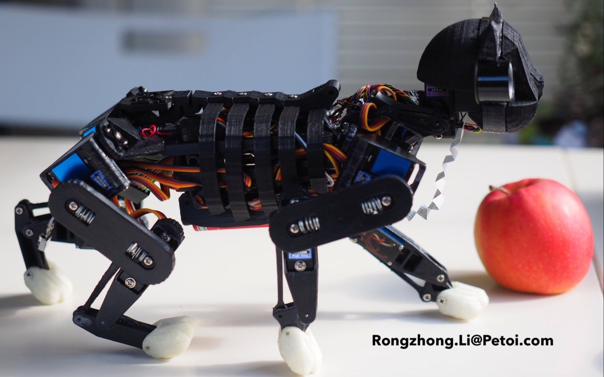 arduino 高度机动的机器人猫