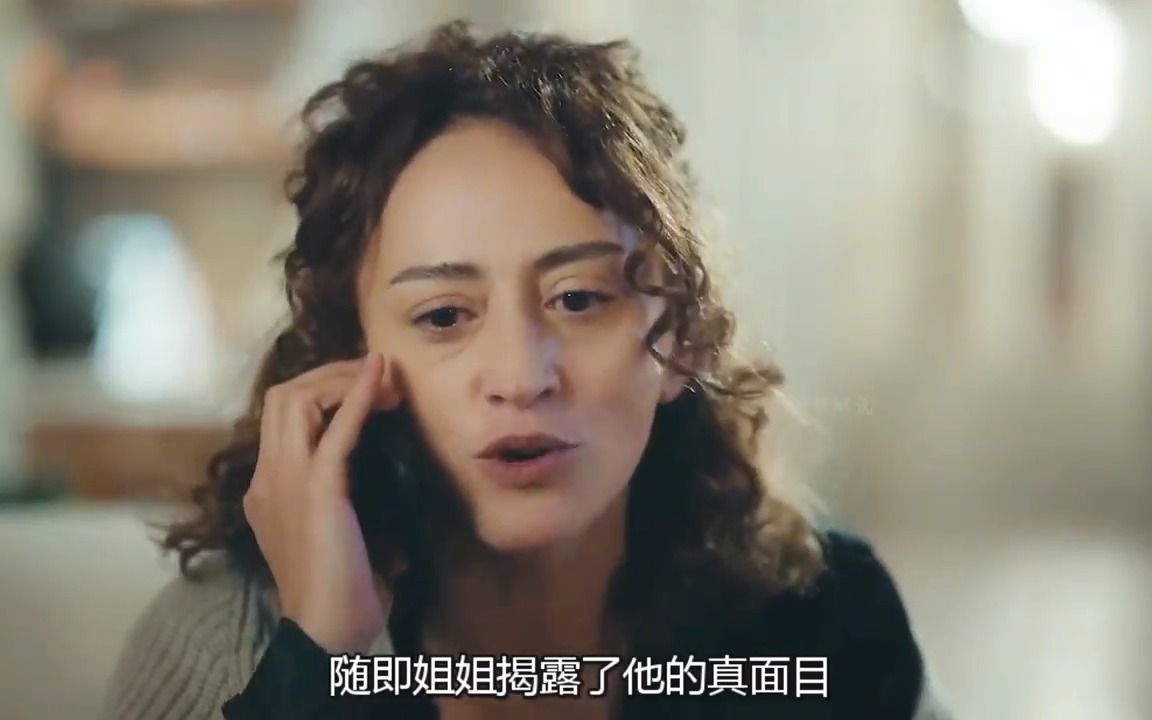 大使的女儿演员表图片