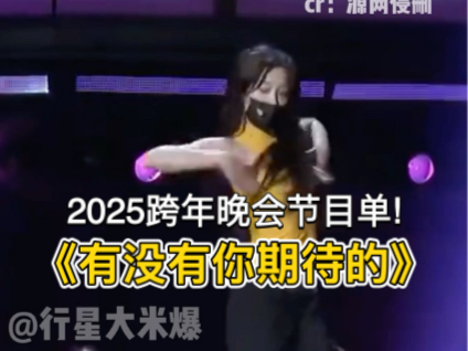 2025各大卫视跨年节目单,有没有你期待的哔哩哔哩bilibili