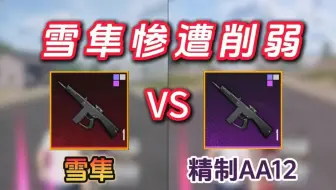 新版本雪隼惨遭削弱，伤害等于精制AA12！