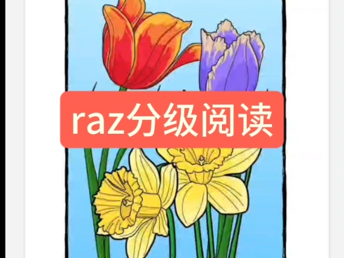 raz分级阅读哔哩哔哩bilibili