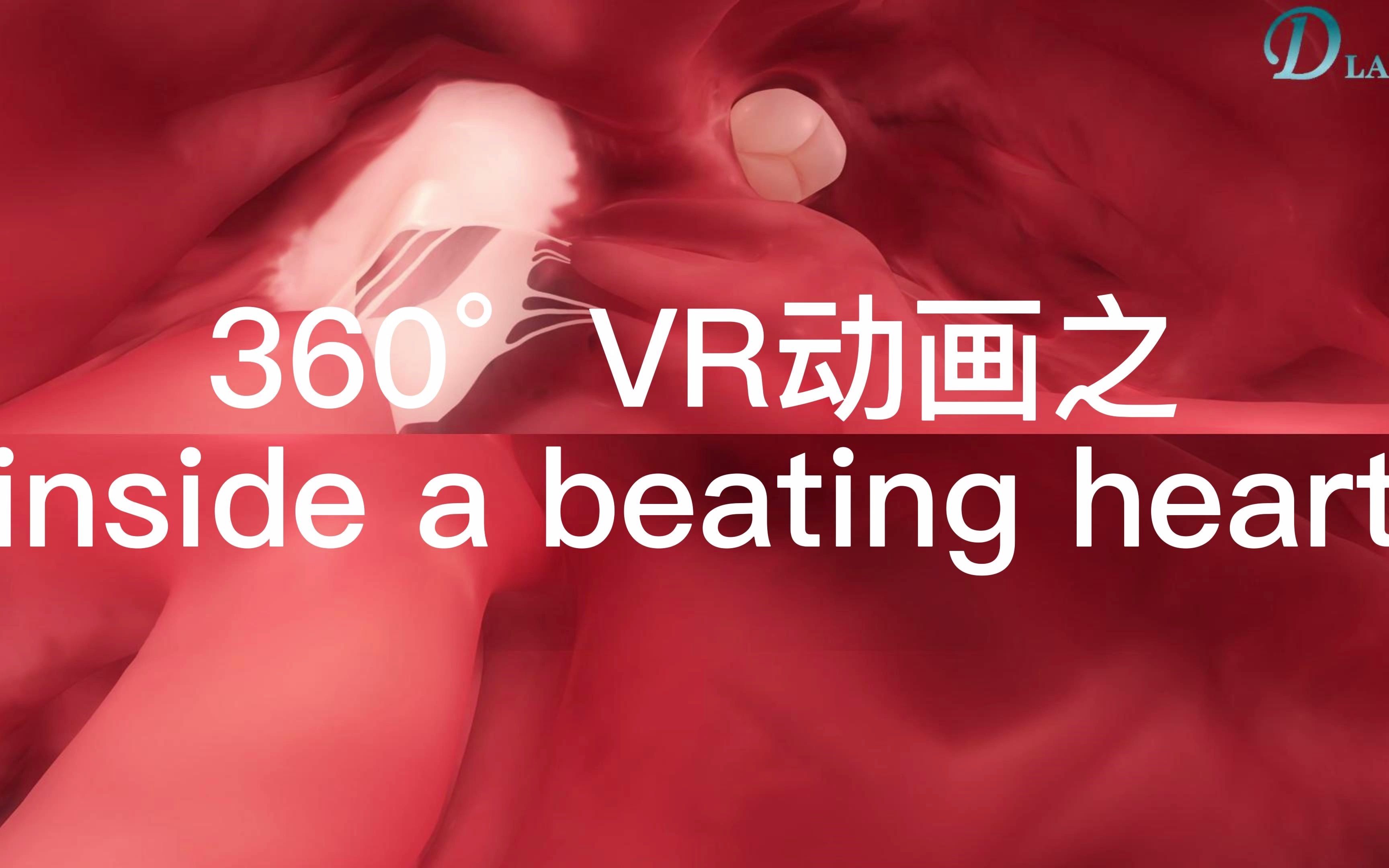 360ⰖR动画|跳动的心脏内部哔哩哔哩bilibili