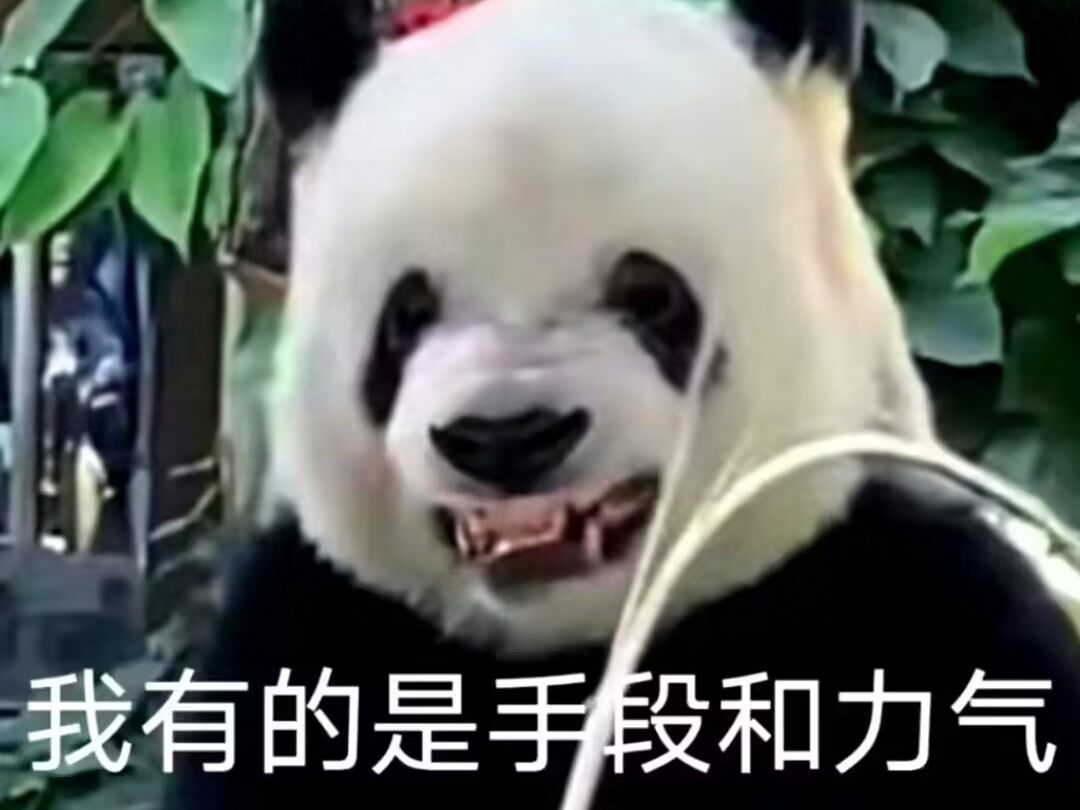 即答:"我有的是手段和力气.jpg"