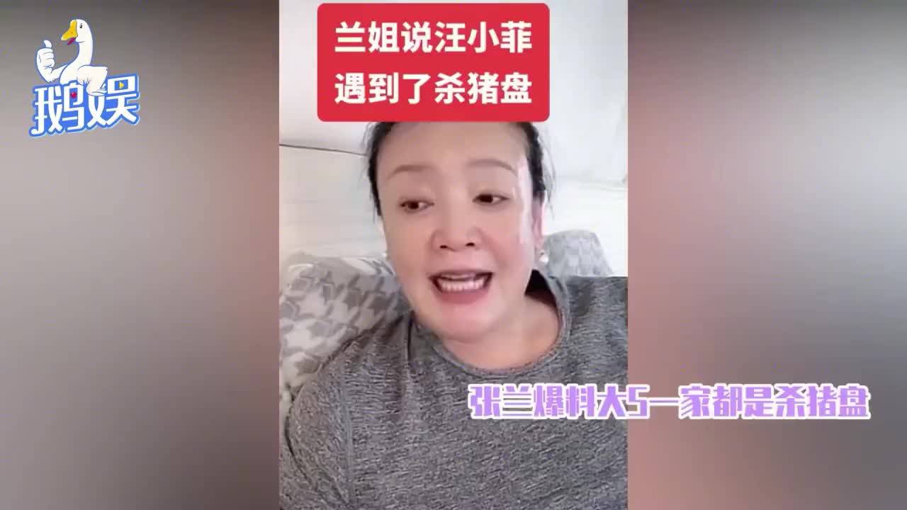 张兰怒撕大S真面目!痛斥S家“杀猪盘”:张颖颖是许雅钧情人介绍哔哩哔哩bilibili