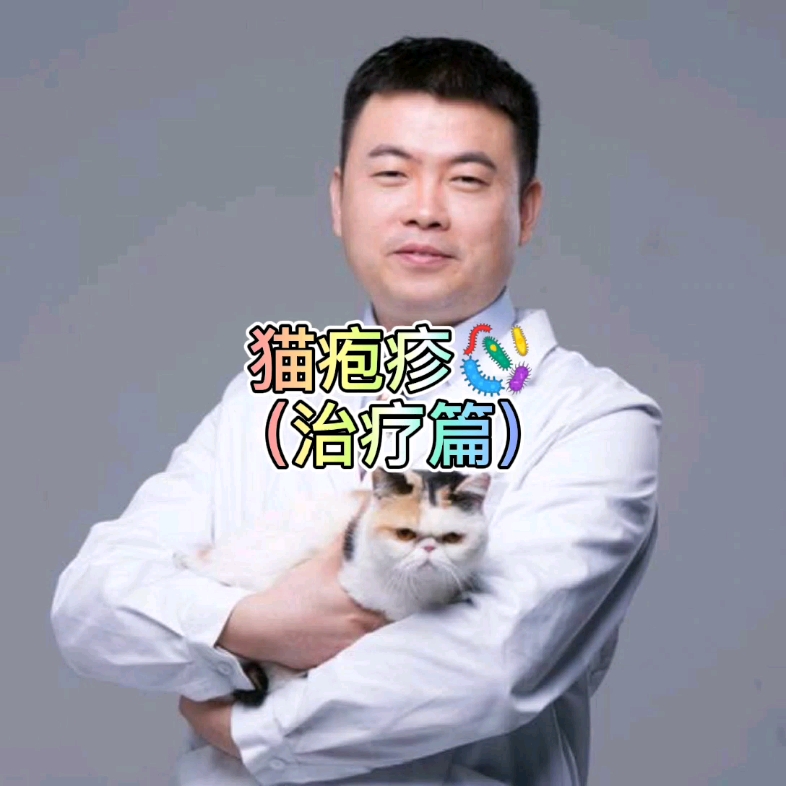 猫疱疹病毒的治疗哔哩哔哩bilibili