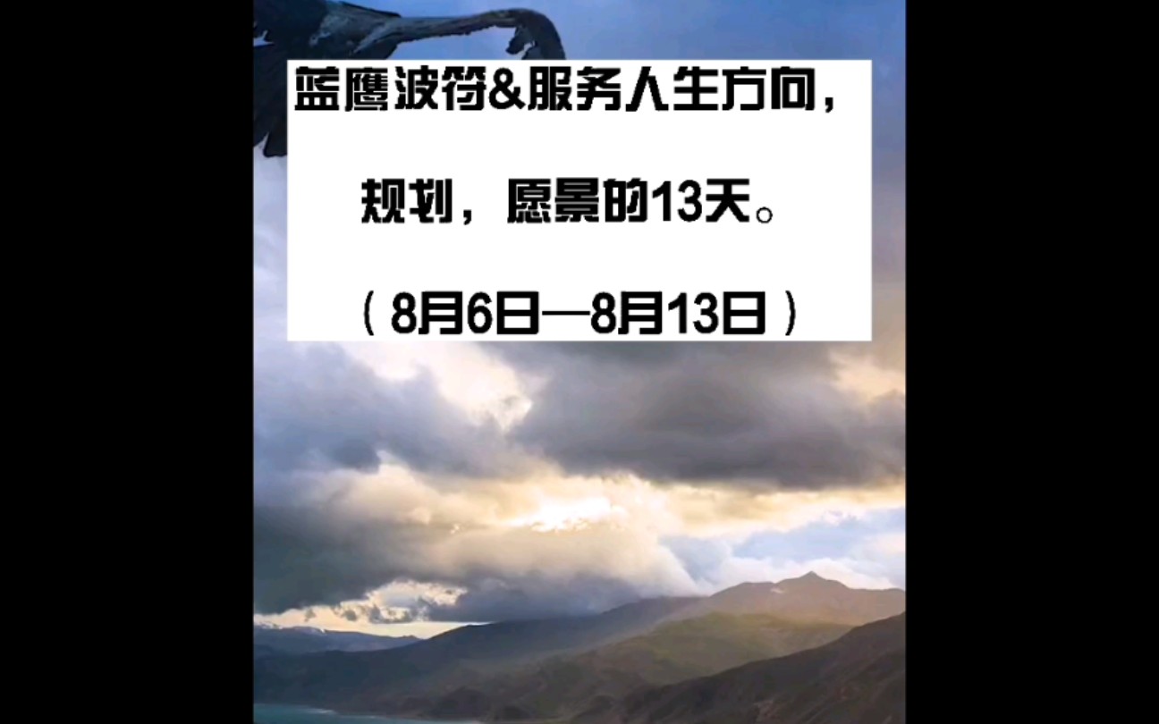 服务人生方向,规划,愿景的13天.哔哩哔哩bilibili