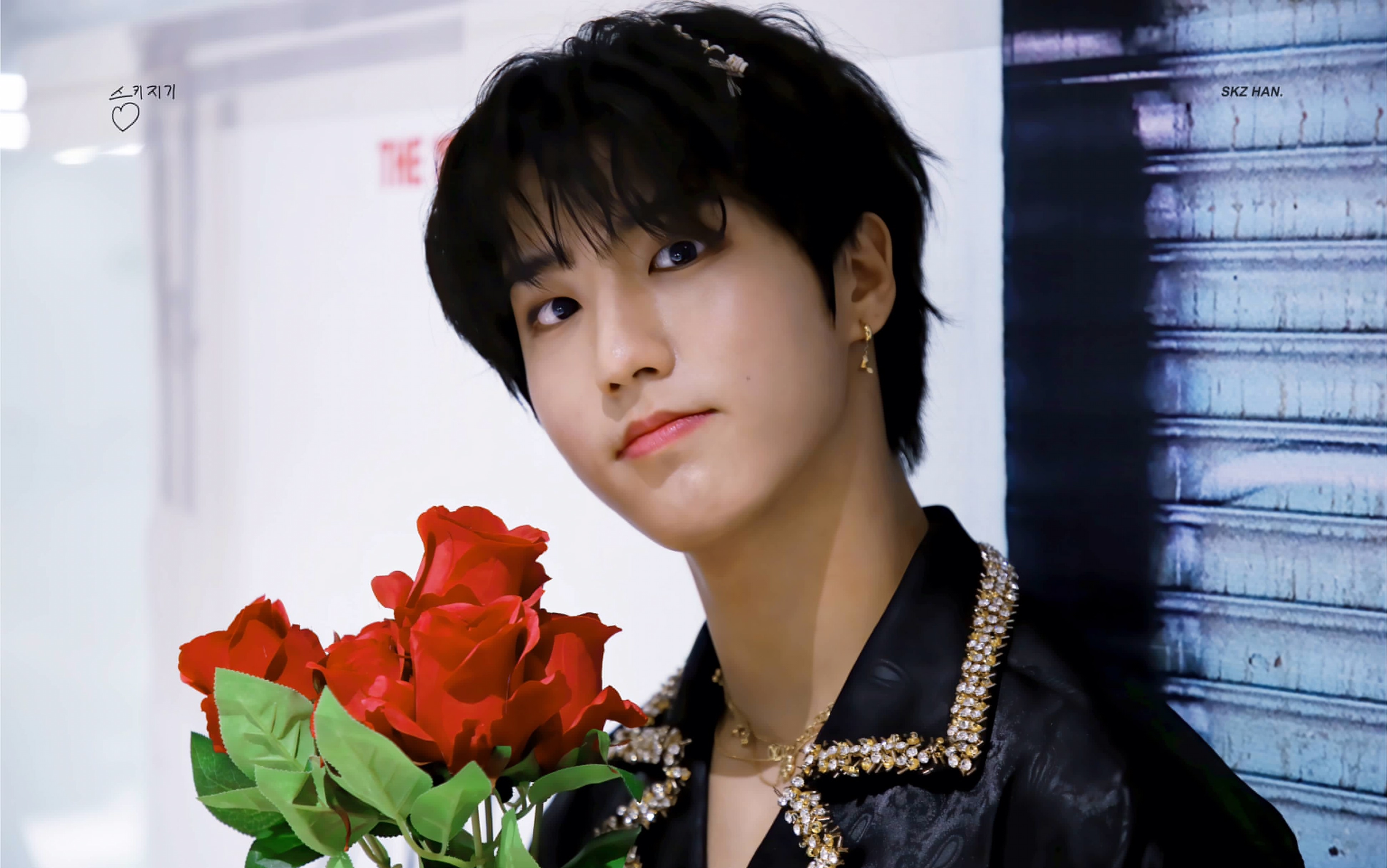 14】happy birthday to straykids han(韩知城直播庆祝生日 韩知城cut