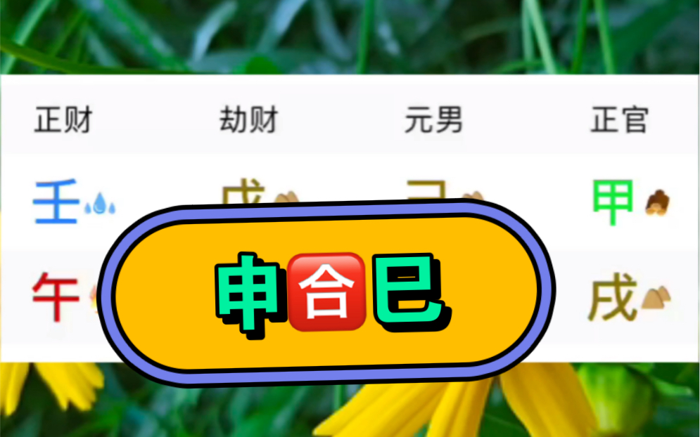 粉丝八字浅析,申合巳影响情感发展哔哩哔哩bilibili