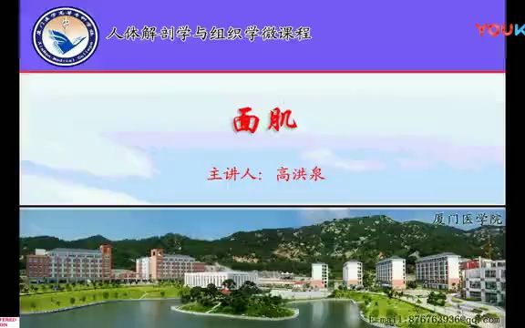 20.面肌高清人体解剖学,系统解剖学,运动解剖学哔哩哔哩bilibili