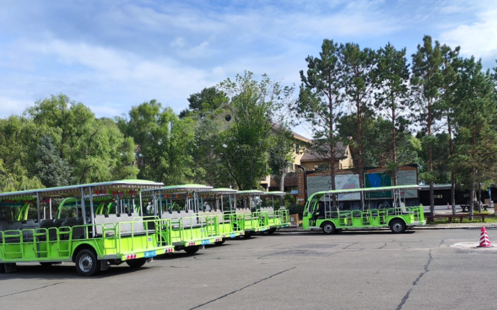 齐齐哈尔扎龙湿地景区接驳车 全程前方展望