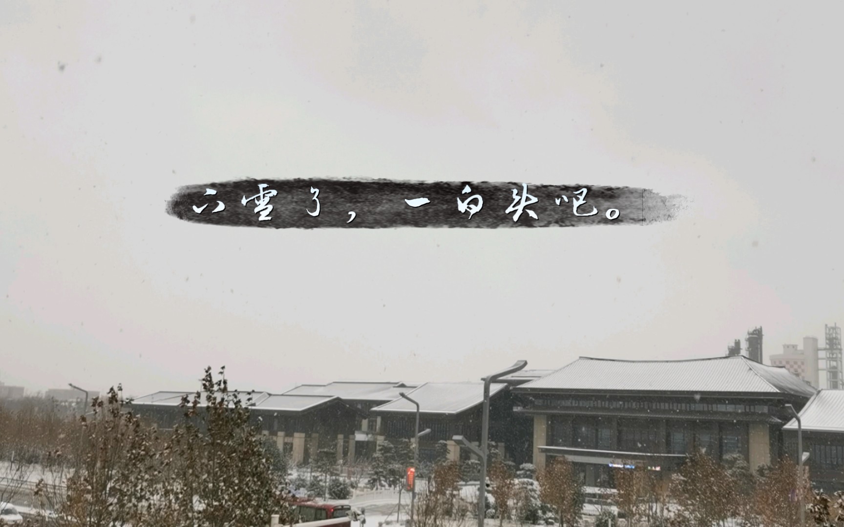下雪了,一起白头吧.