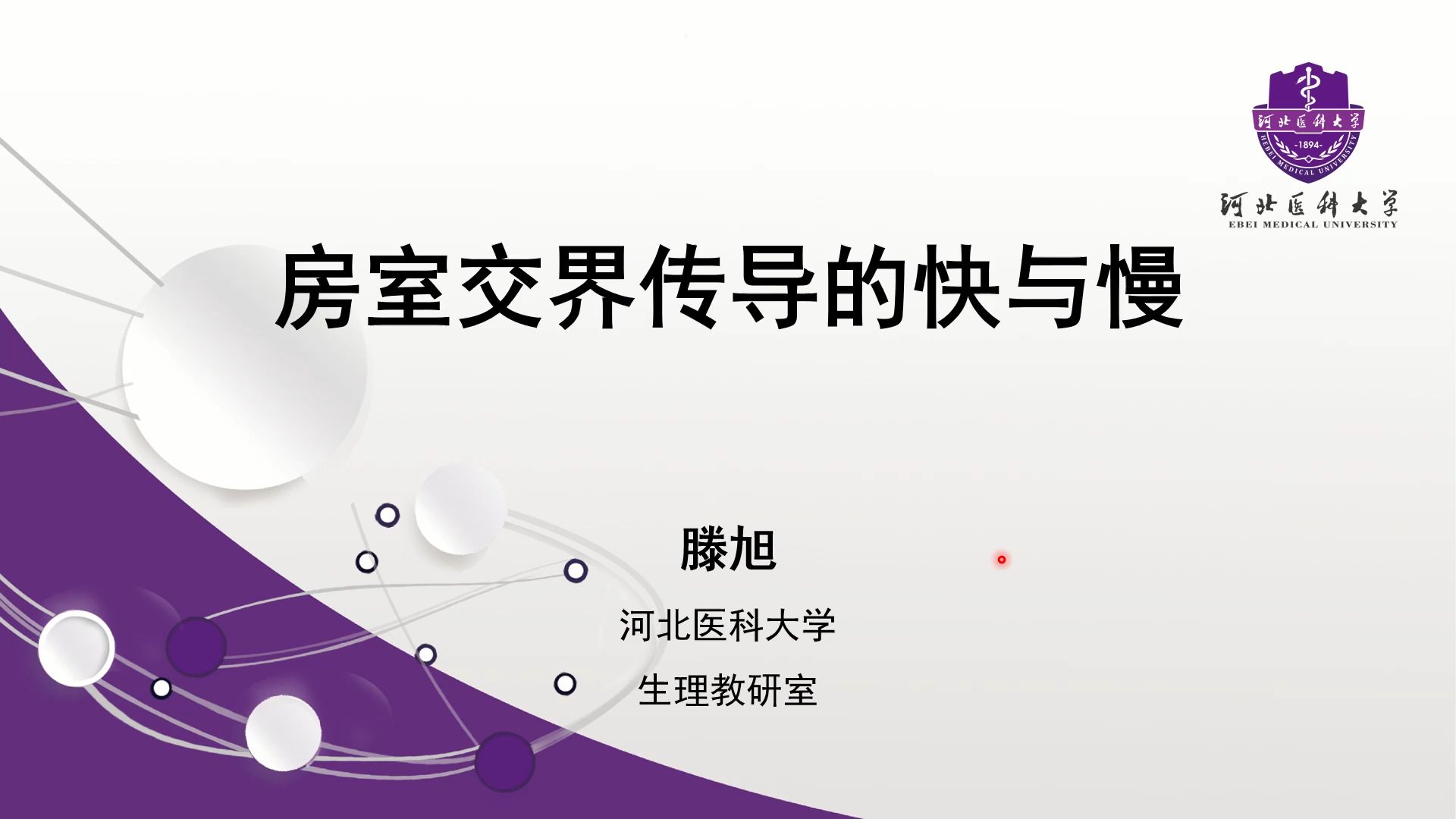 滕旭的生理课 医学本科课程生理学 房室交界传导的快与慢哔哩哔哩bilibili