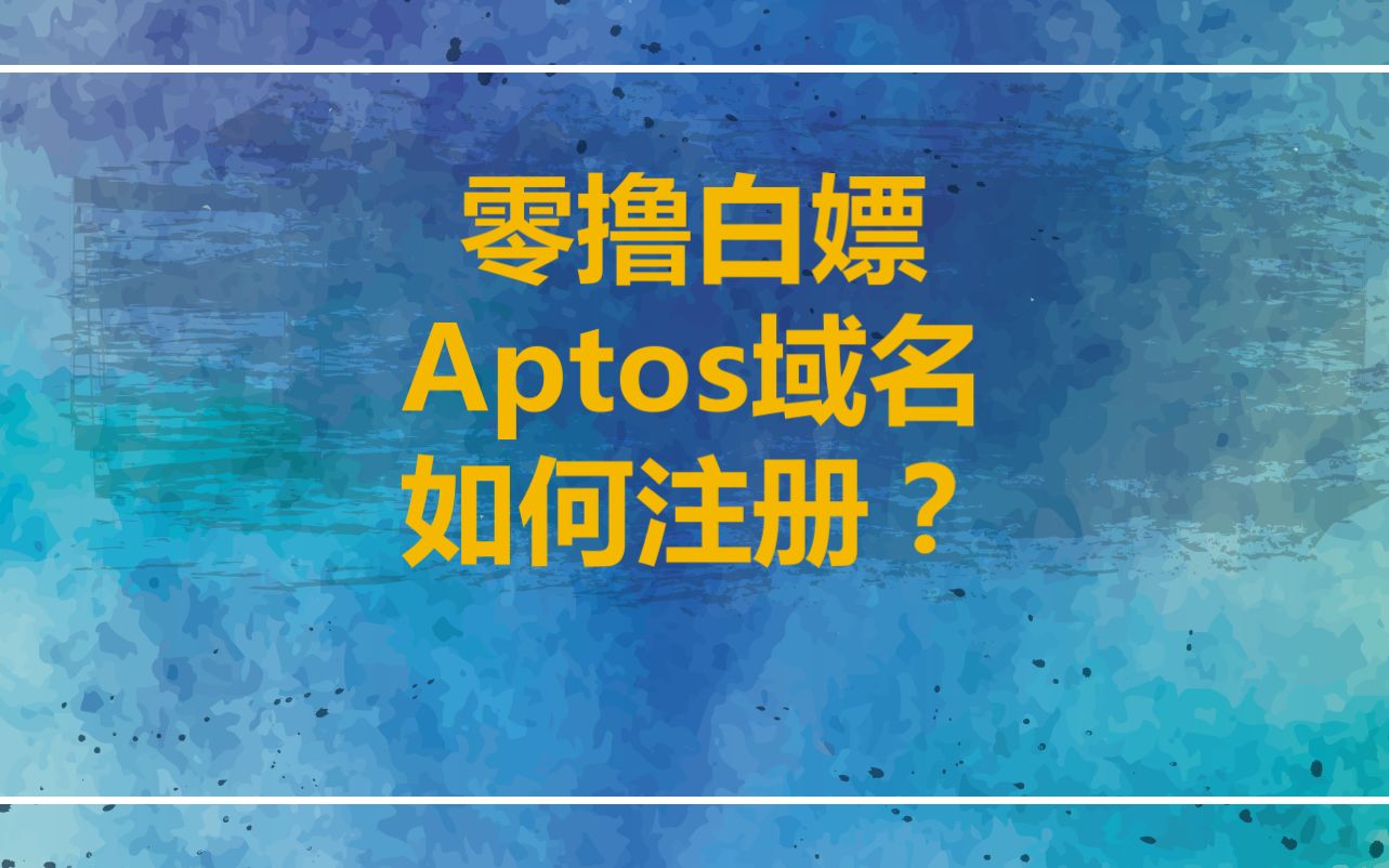 下一个ENS?大毛Aptos域名注册教程‖Aptos Labs官方团队参与设计构建哔哩哔哩bilibili