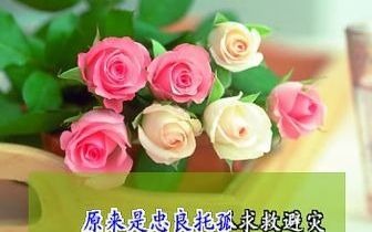 [图]豫剧《绣花女传奇》选段：那一晚云遮月_伴奏