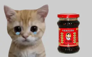 Tải video: 打不开老干妈的猫猫