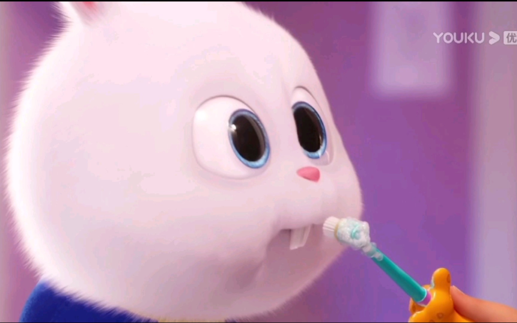 活动  【爱宠大机密】全世界最最可爱的小白和小主人的暖心日常,萌化