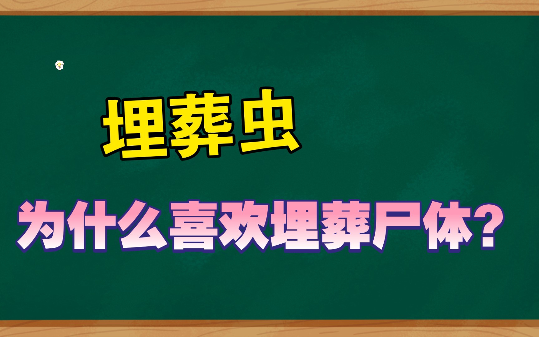 埋葬虫为什么喜欢埋葬尸体?哔哩哔哩bilibili