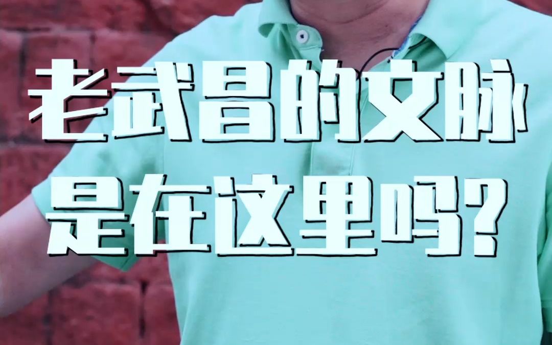 [图]【寻城记】这仅剩的90米城墙，竟是武昌文脉的发祥地吗？