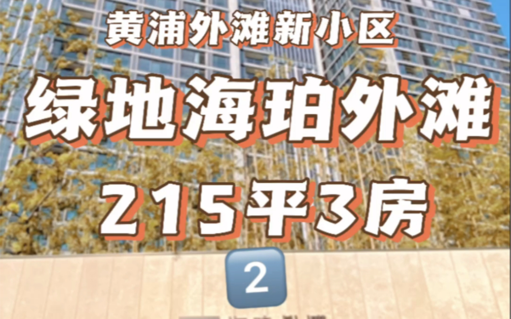 黄浦外滩金融区域,《绿地海珀外滩》215平3房2022年交付,全玻璃幕墙设计豪华装修,城市高端住宅代表作哔哩哔哩bilibili