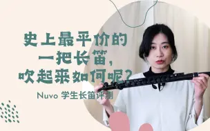 Download Video: 史上最平价的一把长笛, 吹起来如何呢?Nuvo 学生长笛评测