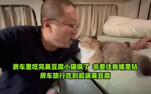 Download Video: 房车里吃完臭豆腐小猫疯了，非要往我嘴里钻。房车旅行吃到超臭豆腐。