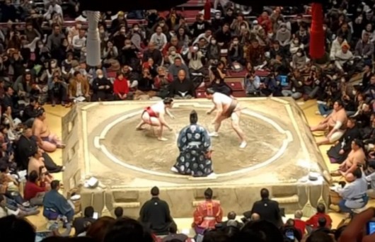 炎鹏跨级战胜横纲白鹏!