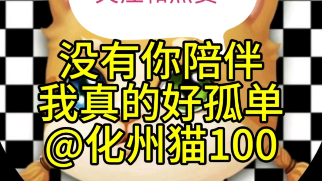 没有你陪伴,我真的好孤单@化州猫100哔哩哔哩bilibili