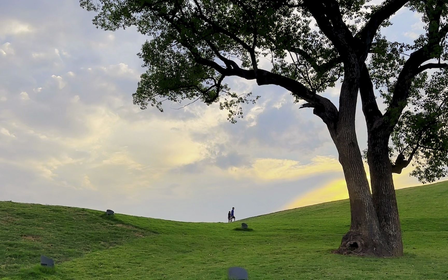 电影经典场景之乱世佳人