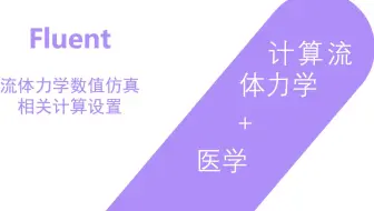 血流动力学仿真计算-ANSYS FLUENT