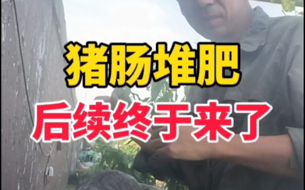 万众瞩目的九转大肠肥后续来了,结局你猜对了吗?-瘦叔堆肥-瘦叔堆肥-哔哩哔哩视频