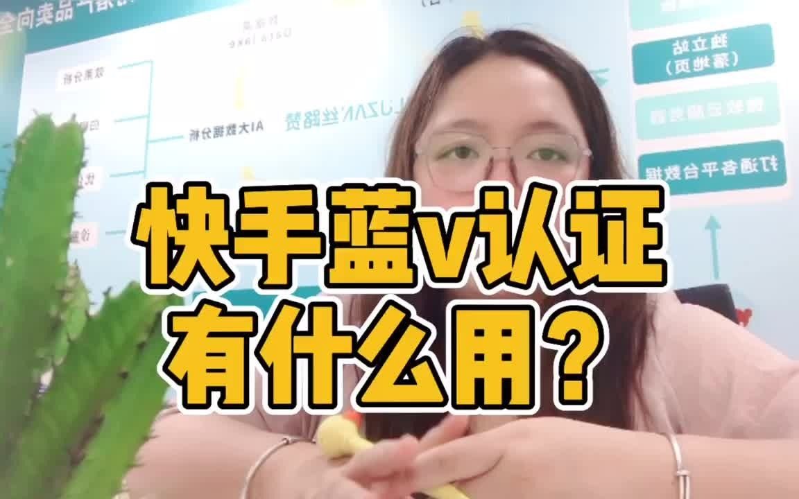 快手服务号,快手蓝V认证有什么用?哔哩哔哩bilibili