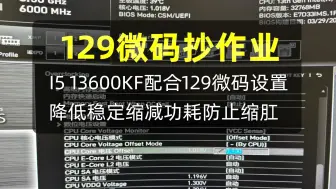 Download Video: I5 13600K和微星Z690主板更新129微码的抄作业设置