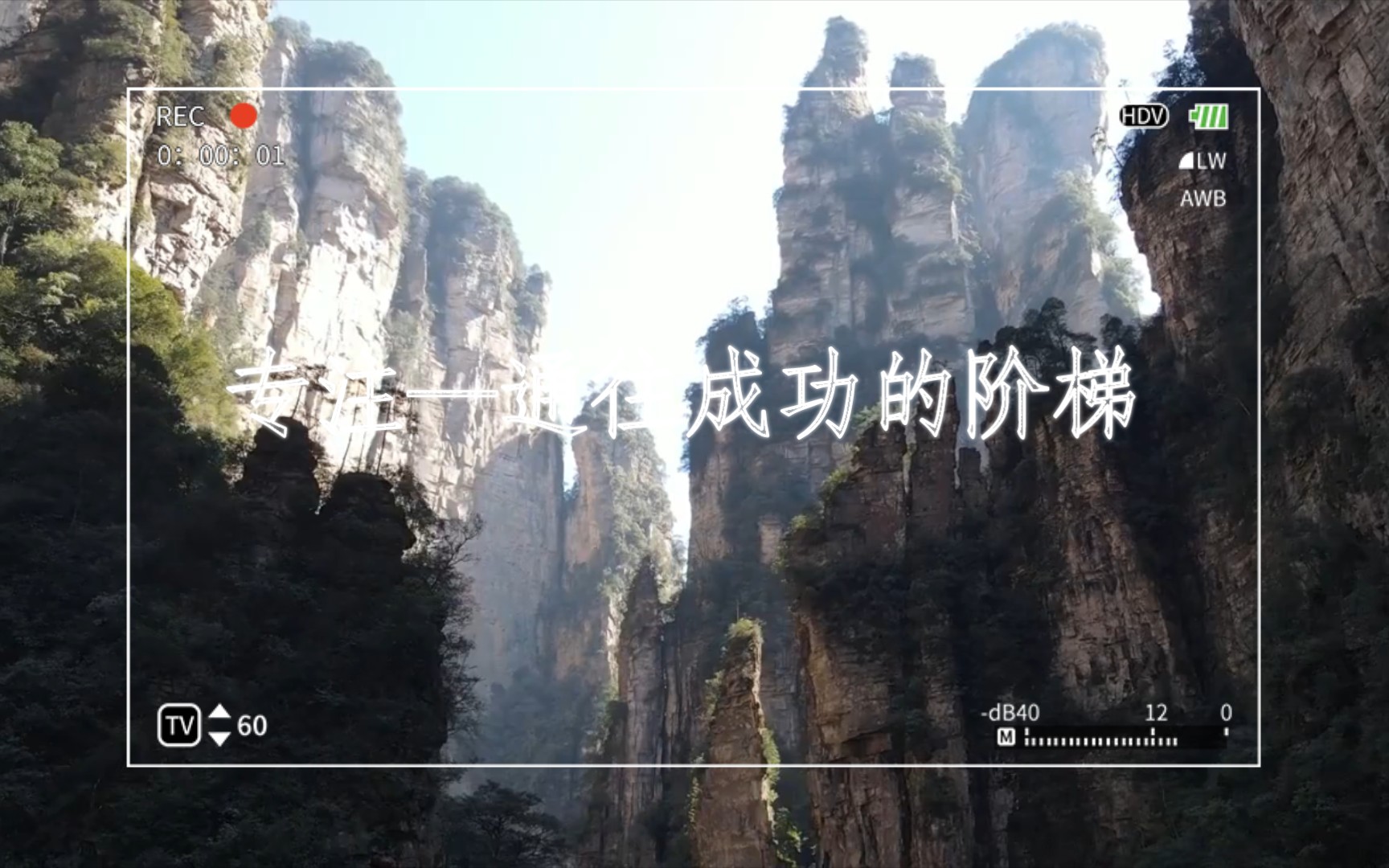 专注是通往成功的阶梯