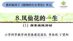 小学科学四下18《凤仙花的一生》哔哩哔哩bilibili