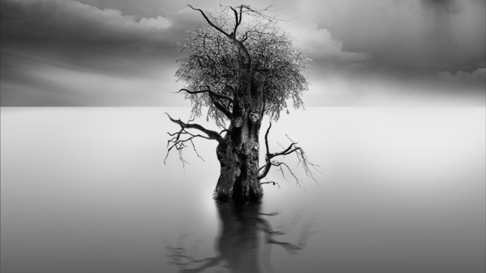 审美积累:Vassilis Tangoulis长曝光风光摄影哔哩哔哩bilibili