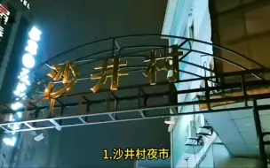 Download Video: 西安夜市集合，吃货们收藏吧，保证不踩坑#夜市 #小吃 #烧烤 #路边摊 #一起逛夜市 #西安夜市 #西安吃喝玩乐 #西安美食推荐 #旅行社加盟