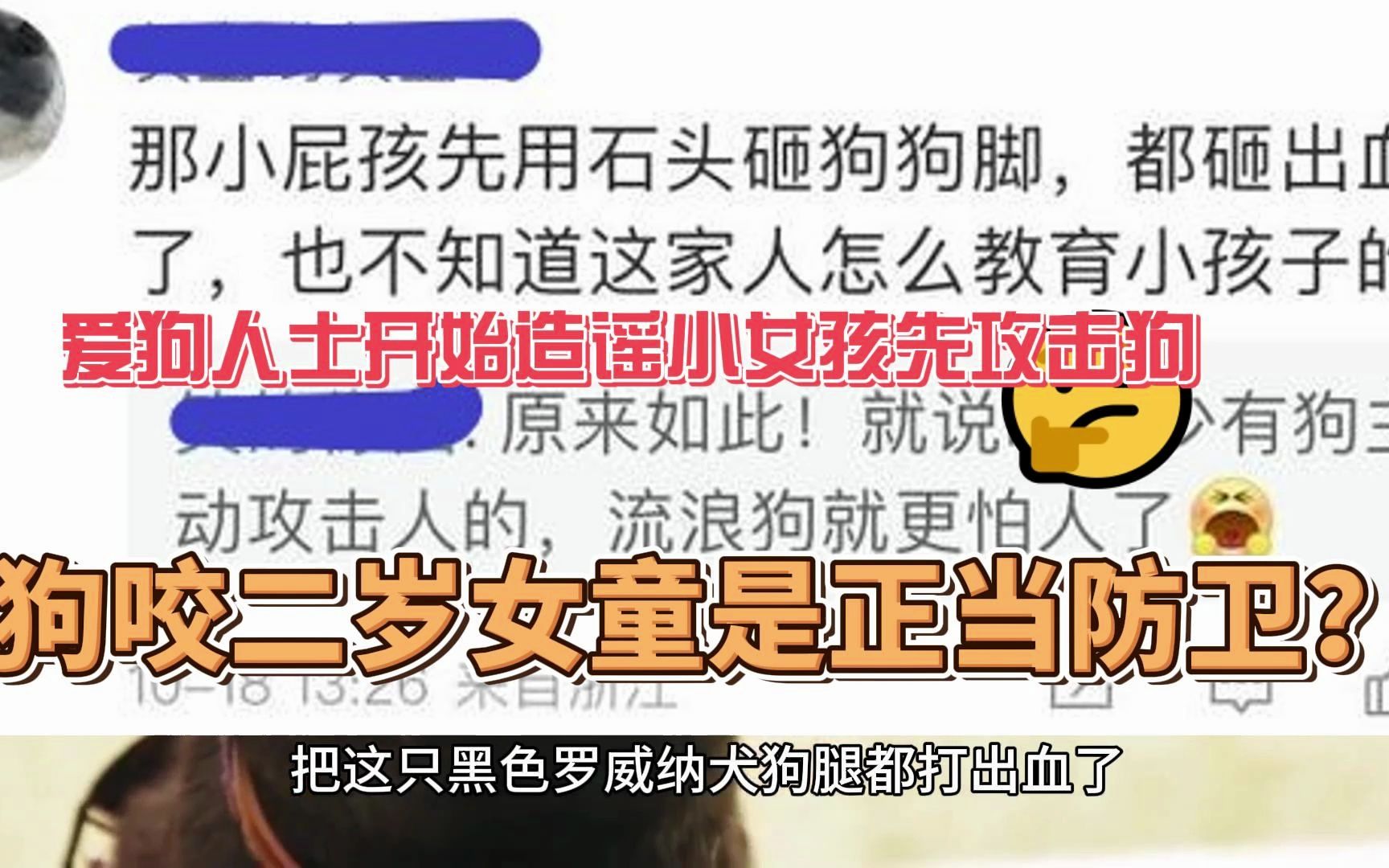 [图]爱狗人士造谣女童先攻击狗