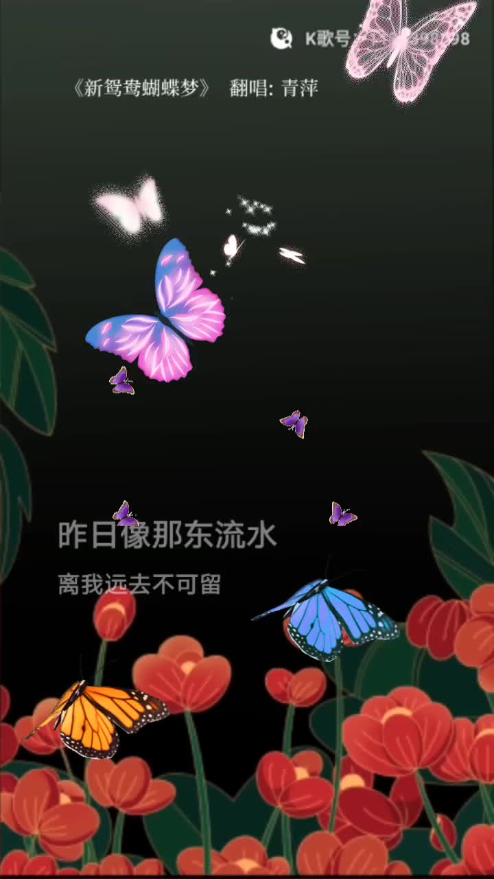 歌曲新鸳鸯蝴蝶梦图片图片