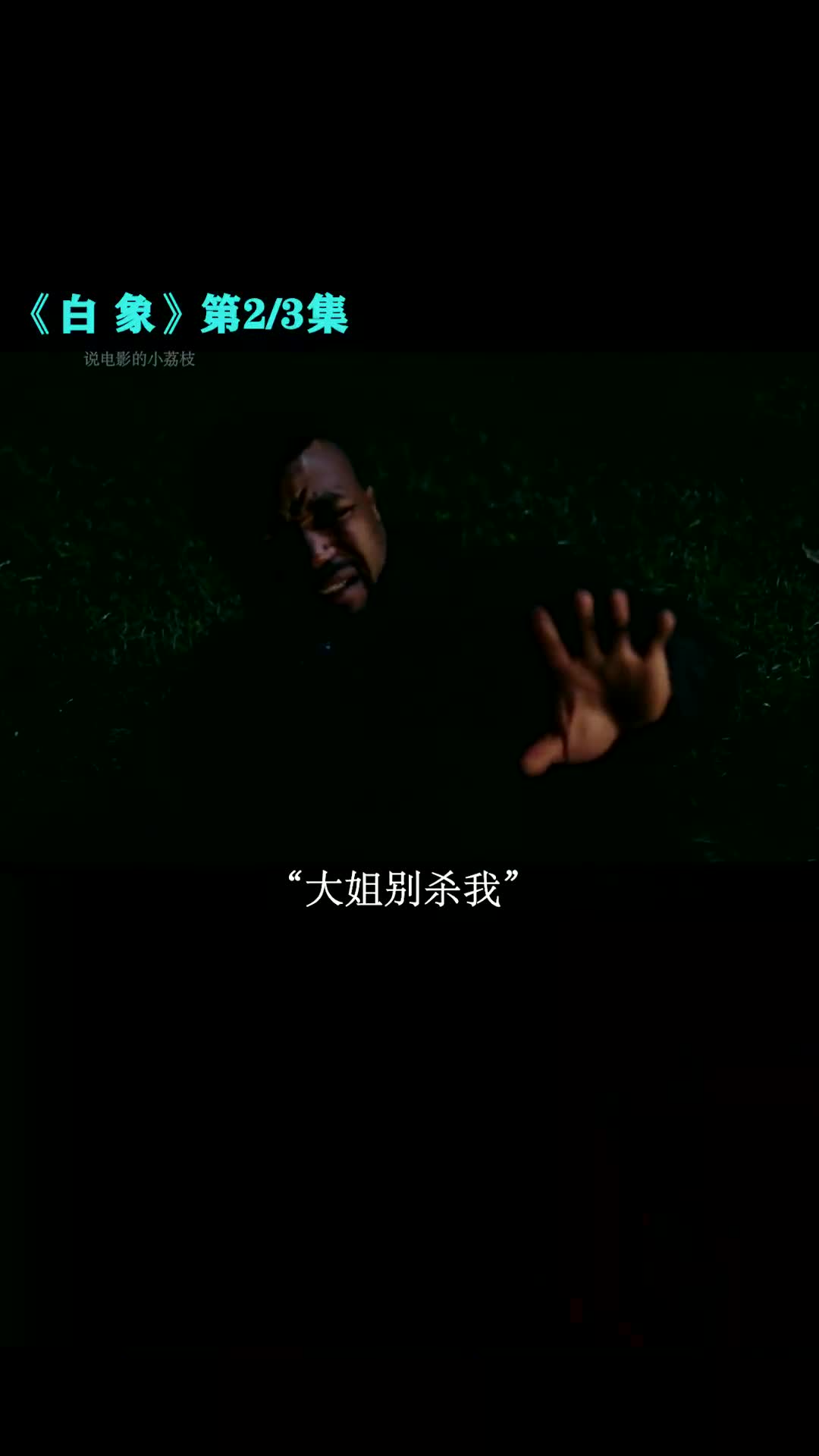 #2022年布鲁斯威利斯最后一部超燃动作大片.《白象》 #布鲁斯威利斯 #动作电影 #我的观影报告哔哩哔哩bilibili