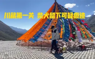 Descargar video: 带狗狗去西藏是一种什么样的体验