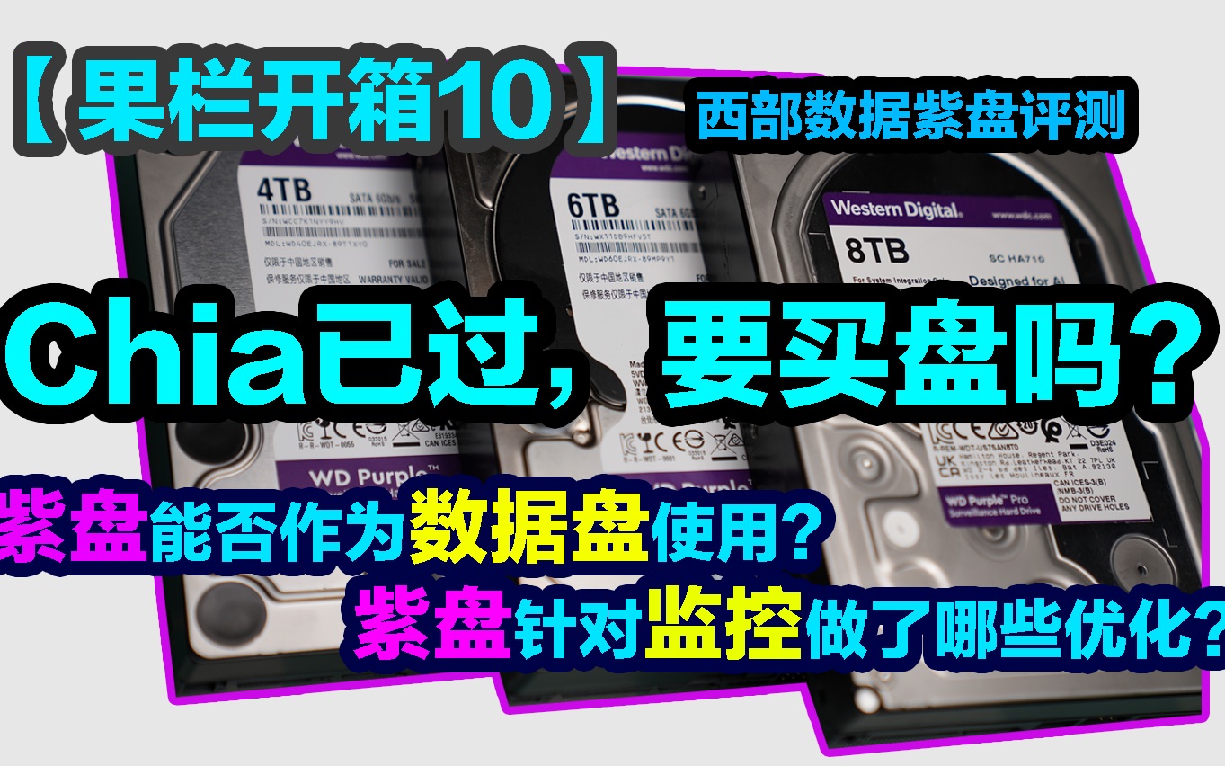 「西数零元购」应该如何选择NAS/监控硬盘?紫盘不适合存数据?误区!蓝盘/紫盘/红盘/企业盘代表什么?西部数据紫盘评测【果栏开箱10】哔哩哔哩bilibili