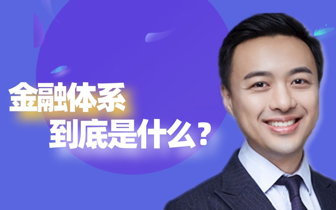 金融体系是什么?哔哩哔哩bilibili