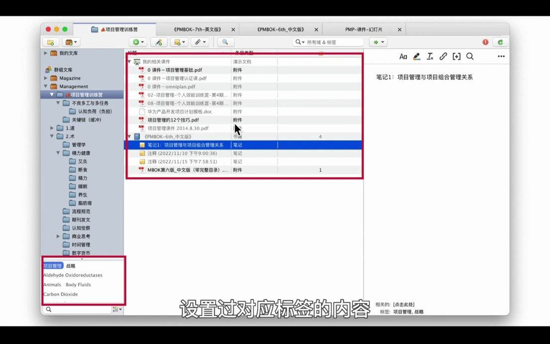 【Zotero入门教程合集】17 如何使用标签?哔哩哔哩bilibili